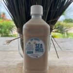 Sea Moss Best in Belize