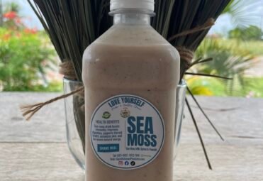 IMG_3572 Large Sea Moss Best in Belize