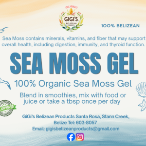 Sea Moss Gel