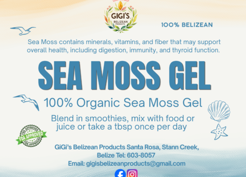 SEA MOSS GEL