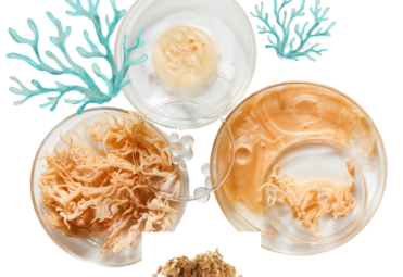 Sea moss provides important nutrients, including iodine, potassium, calcium, magnesium, iron, zinc, and vitamins A, C, E, and several B vitamins. These nutrients play essential roles in maintaining healthy body functions, from supporting the immune system to promoting strong bones and healthy muscles.